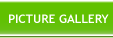 PICTURE GALLERY